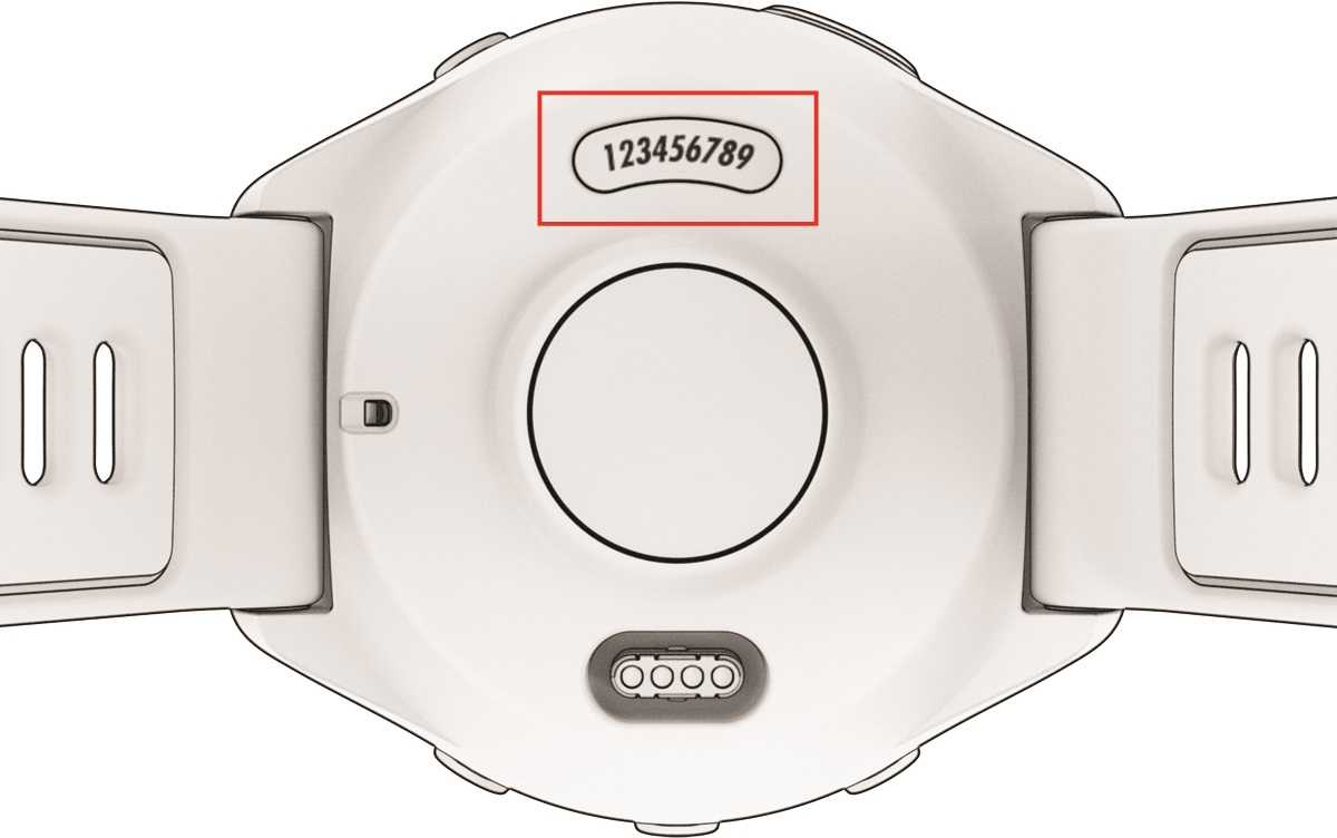 back of a watch with the serial number location circled in red
