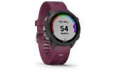 Spordikell Garmin Forerunner 245 Punane