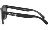 P&auml;ikeseprillid OAKLEY Frogskins Matte Black Prizm Black Polarized