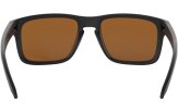 P&auml;ikeseprillid OAKLEY Holbrook Matte Black Prizm Tungsten Polarized