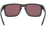 P&auml;ikeseprillid OAKLEY Holbrook erimudelid "Steel Collection" Prizm Daily Polarized