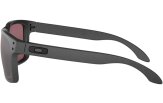 P&auml;ikeseprillid OAKLEY Holbrook erimudelid "Steel Collection" Prizm Daily Polarized