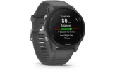 Spordikell Garmin Forerunner 255 Grey