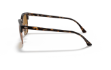 P&auml;ikeseprillid Ray-Ban Clubmaster Havana B-15 Brown M