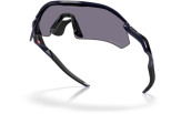 P&auml;ikeseprillid OAKLEY Radar Plate Polished Navy Prizm Grey