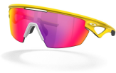 Oakley Custom