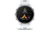 Spordikell Garmin Forerunner 170 Music - Whitestone