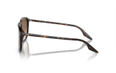 P&auml;ikeseprillid Ray-Ban 0RB2203 Havana Light Brown M