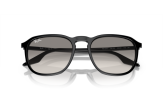 P&auml;ikeseprillid Ray-Ban 0RB2203 Black Light Grey M