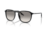 P&auml;ikeseprillid Ray-Ban 0RB2203 Black Light Grey M