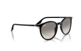 P&auml;ikeseprillid Ray-Ban 0RB2204 Black Light Grey L