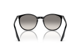 P&auml;ikeseprillid Ray-Ban 0RB2204 Black Light Grey L