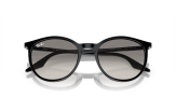 P&auml;ikeseprillid Ray-Ban 0RB2204 Black Light Grey L