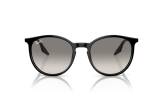 P&auml;ikeseprillid Ray-Ban 0RB2204 Black Light Grey L