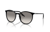 P&auml;ikeseprillid Ray-Ban 0RB2204 Black Light Grey L