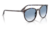 P&auml;ikeseprillid Ray-Ban 0RB2204 Havana Blue Tortoiseshell Clear Gradient Blue L