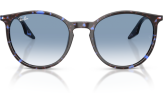 P&auml;ikeseprillid Ray-Ban 0RB2204 Havana Blue Tortoiseshell Clear Gradient Blue L