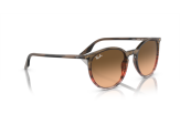 P&auml;ikeseprillid Ray-Ban 0RB2204 Striped Brown & Red Pink/Black L