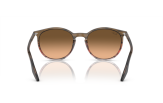 P&auml;ikeseprillid Ray-Ban 0RB2204 Striped Brown & Red Pink/Black L
