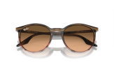P&auml;ikeseprillid Ray-Ban 0RB2204 Striped Brown & Red Pink/Black L