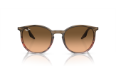 P&auml;ikeseprillid Ray-Ban 0RB2204 Striped Brown & Red Pink/Black L