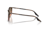 P&auml;ikeseprillid Ray-Ban 0RB2204 Striped Brown & Red Pink/Black L