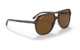 P&auml;ikeseprillid Ray-Ban Bill Havana Brown Polarized M