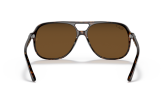 P&auml;ikeseprillid Ray-Ban Bill Havana Brown Polarized M