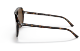 P&auml;ikeseprillid Ray-Ban Bill Havana Brown Polarized M