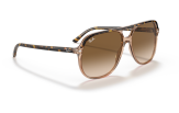 P&auml;ikeseprillid Ray-Ban Bill Havana on Transparent Brown Light Brown Gradient M
