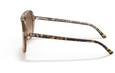 P&auml;ikeseprillid Ray-Ban Bill Havana on Transparent Brown Light Brown Gradient M