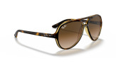 P&auml;ikeseprillid Ray-Ban Cats 5000 Light Havana Light Brown Gradient