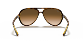 P&auml;ikeseprillid Ray-Ban Cats 5000 Light Havana Light Brown Gradient