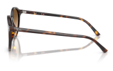 P&auml;ikeseprillid Ray-Ban Bernard Havana Clear Gradient Brown M