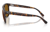 P&auml;ikeseprillid Ray-Ban 0RB2213 Havana B-15 brown