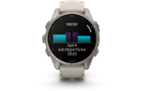 Spordikell Garmin fenix 9 43mm Standard - Titanium with Fog Grey Silicone Band