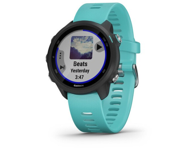 Spordikell Garmin Forerunner 245 Music Helesinine
