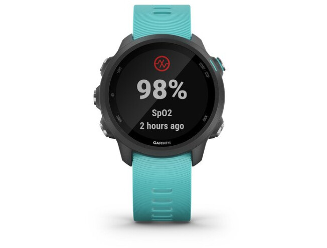 Spordikell Garmin Forerunner 245 Music Helesinine