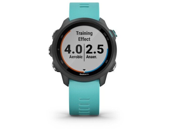 Spordikell Garmin Forerunner 245 Music Helesinine
