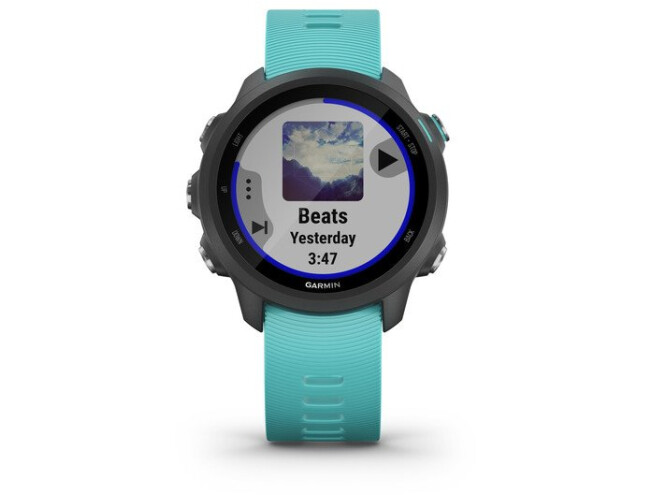 Spordikell Garmin Forerunner 245 Music Helesinine