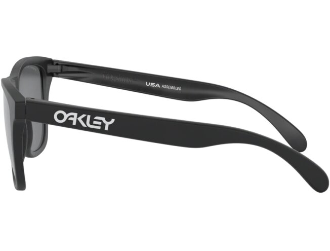 P&auml;ikeseprillid OAKLEY Frogskins Matte Black Prizm Black Polarized