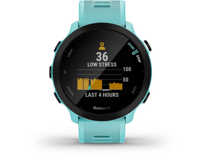 Spordikell Garmin Forerunner 55 - sinine sinine