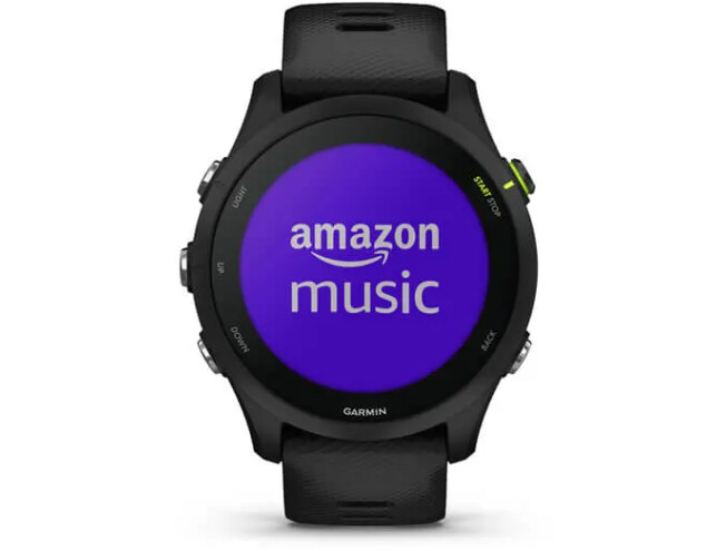 Spordikell Garmin Forerunner 255 Music Black Music - Black