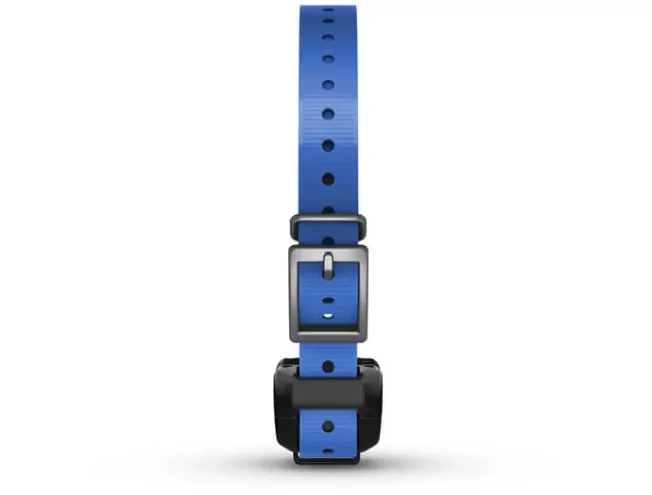 Koeraseade Garmin Delta SE ainult koerarihm