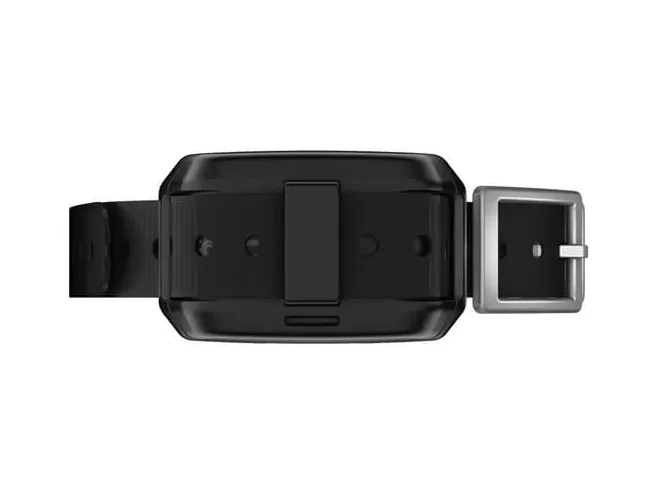Koeraseade Garmin Delta SE Bundle
