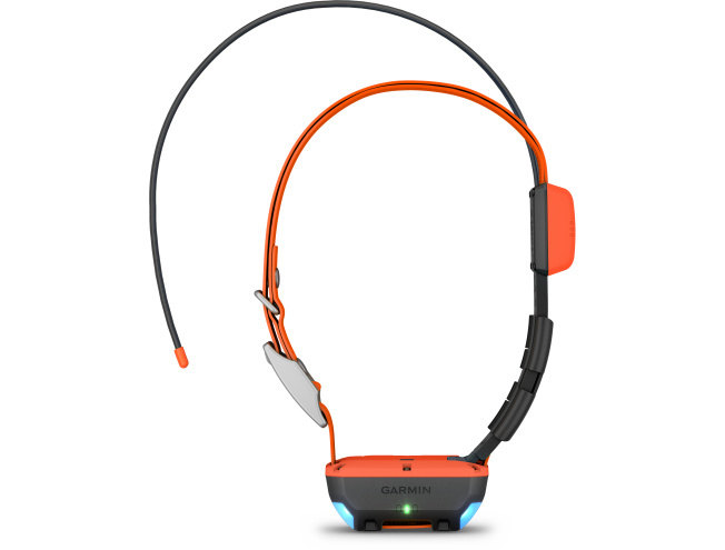 Alpha T20 koera kaelarihm