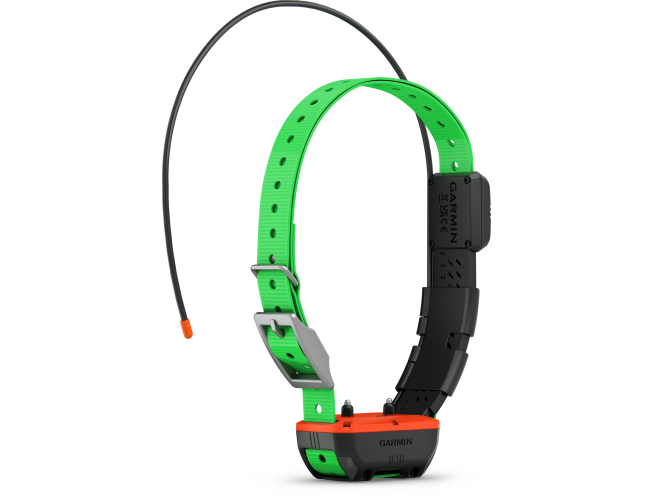 Alpha TT25 koera kaelarihm