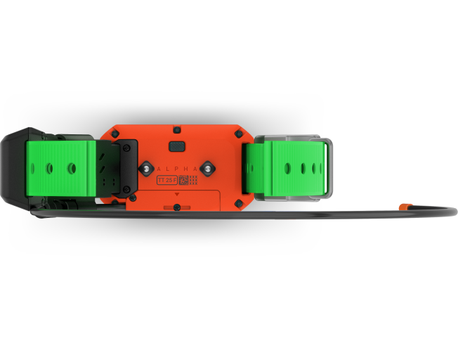 Alpha TT25 koera kaelarihm