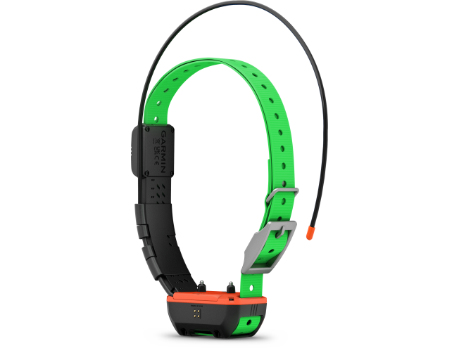 Alpha TT25 koera kaelarihm