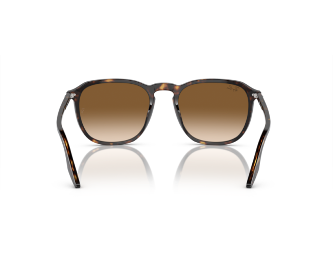 P&auml;ikeseprillid Ray-Ban 0RB2203 Havana Light Brown M